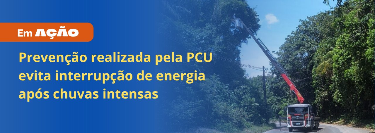 Poda de árvores realizada pela PCU já apresenta resultados na prevenção de quedas no fornecimento de Energia Elétrica